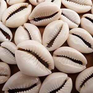 sacred cowries (owo eyo)